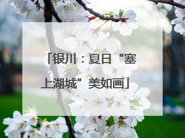 银川：夏日“塞上湖城”美如画