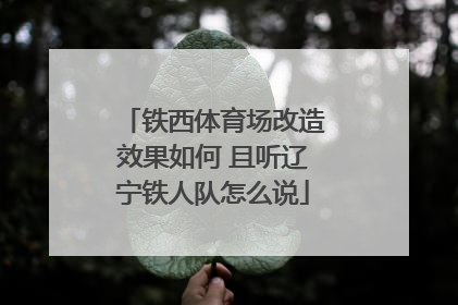 铁西体育场改造效果如何 且听辽宁铁人队怎么说