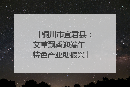 铜川市宜君县：艾草飘香迎端午 特色产业助振兴