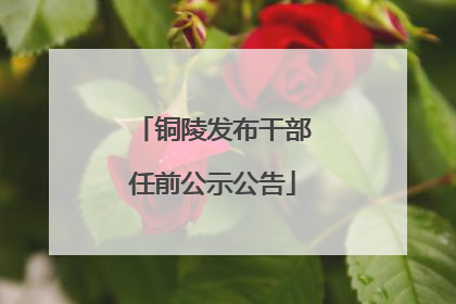 铜陵发布干部任前公示公告