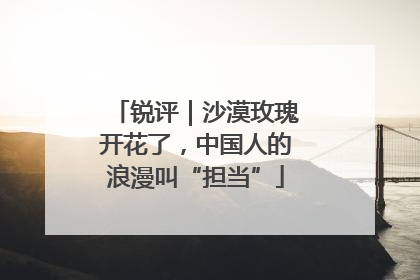 锐评｜沙漠玫瑰开花了，中国人的浪漫叫“担当”