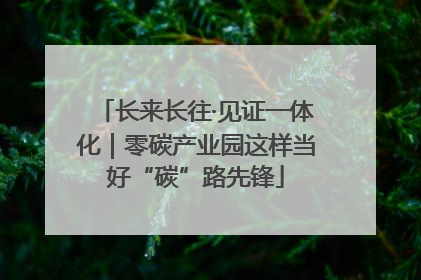 长来长往·见证一体化｜零碳产业园这样当好“碳”路先锋