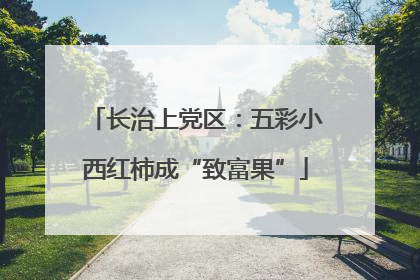 长治上党区：五彩小西红柿成“致富果”
