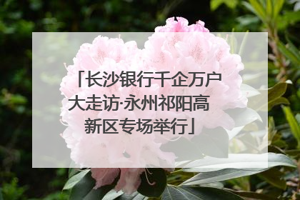长沙银行千企万户大走访·永州祁阳高新区专场举行