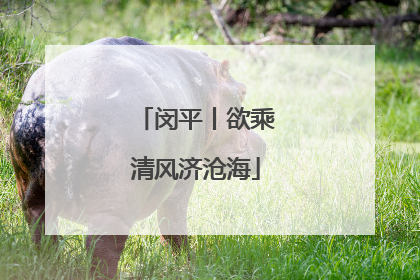闵平丨欲乘清风济沧海