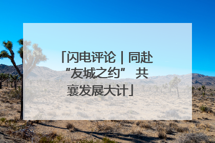 闪电评论｜同赴“友城之约” 共襄发展大计