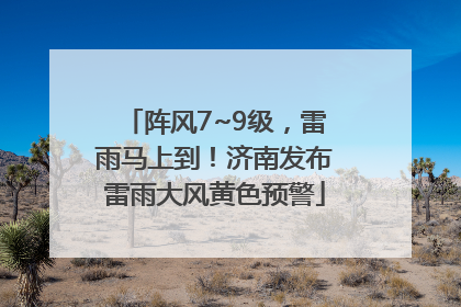 阵风7~9级，雷雨马上到！济南发布雷雨大风黄色预警