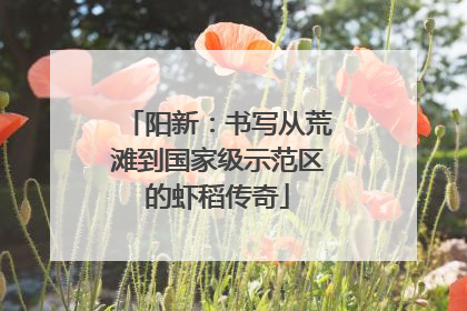 阳新：书写从荒滩到国家级示范区的虾稻传奇