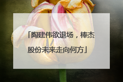 陶建伟欲退场，棒杰股份未来走向何方