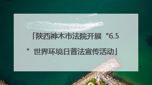 陕西神木市法院开展“6.5”世界环境日普法宣传活动