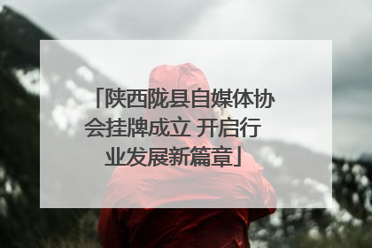 陕西陇县自媒体协会挂牌成立 开启行业发展新篇章