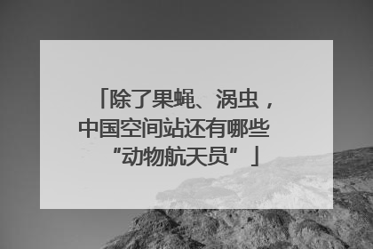 除了果蝇、涡虫，中国空间站还有哪些“动物航天员”