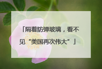 隔着防弹玻璃，看不见“美国再次伟大”