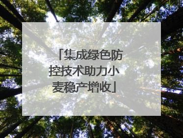 集成绿色防控技术助力小麦稳产增收