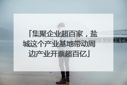 集聚企业超百家，盐城这个产业基地带动周边产业开票超百亿