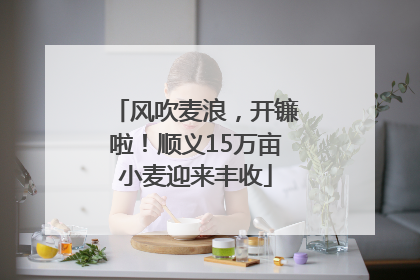 风吹麦浪，开镰啦！顺义15万亩小麦迎来丰收