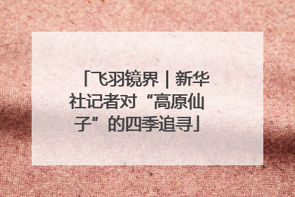 飞羽镜界｜新华社记者对“高原仙子”的四季追寻