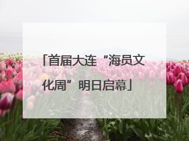 首届大连“海员文化周”明日启幕