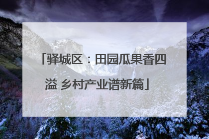 驿城区：田园瓜果香四溢 乡村产业谱新篇