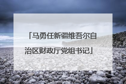 马勇任新疆维吾尔自治区财政厅党组书记