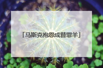马斯克抱怨成替罪羊