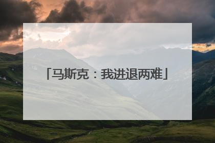 马斯克：我进退两难
