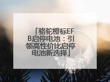 骆驼橙标EFB启停电池：引领高性价比启停电池新选择