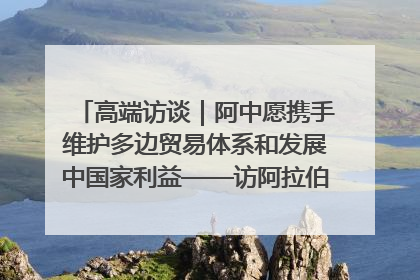 高端访谈｜阿中愿携手维护多边贸易体系和发展中国家利益——访阿拉伯议会议长亚马希
