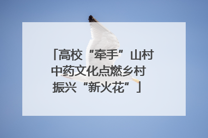 高校“牵手”山村 中药文化点燃乡村振兴“新火花”