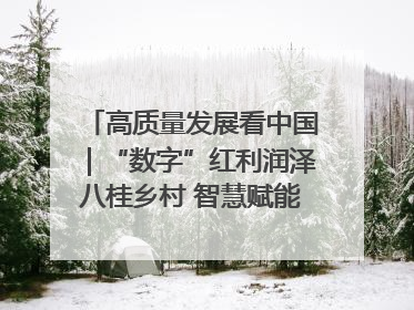高质量发展看中国｜“数字”红利润泽八桂乡村 智慧赋能绘就振兴画卷