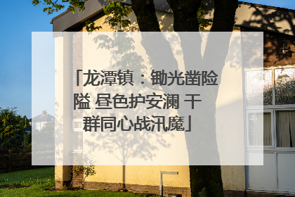 龙潭镇：锄光凿险隘 昼色护安澜 干群同心战汛魔