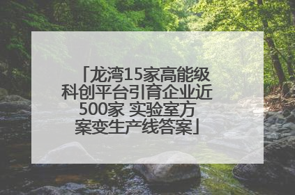龙湾15家高能级科创平台引育企业近500家 实验室方案变生产线答案
