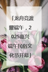 龙舟竞渡耀端午，2025嘉兴端午民俗文化节开幕