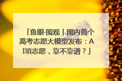 鱼眼·围观丨国内首个高考志愿大模型发布：AI填志愿，靠不靠谱？