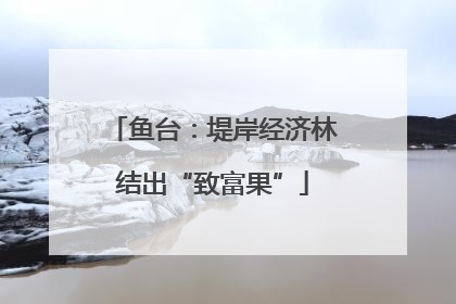 鱼台：堤岸经济林结出“致富果”