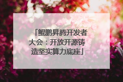 鲲鹏昇腾开发者大会：开放开源铸造坚实算力底座