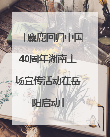 麋鹿回归中国40周年湖南主场宣传活动在岳阳启动
