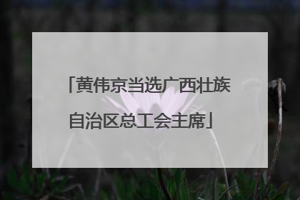 黄伟京当选广西壮族自治区总工会主席