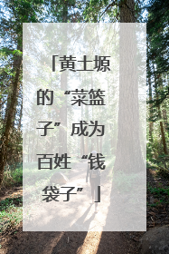 黄土塬的“菜篮子”成为百姓“钱袋子”