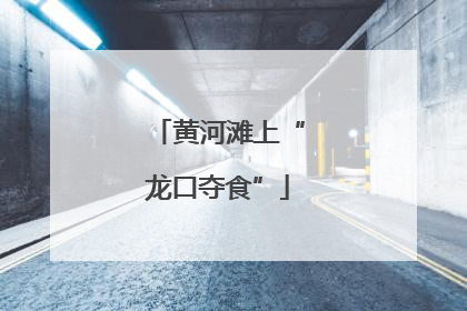 黄河滩上“龙口夺食”