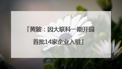 黄陂：因大联科一期开园 首批14家企业入驻