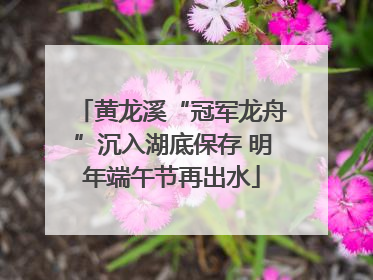 黄龙溪“冠军龙舟”沉入湖底保存 明年端午节再出水