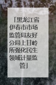 黑龙江省伊春市市场监管局友好分局上甘岭所强化民生领域计量监管