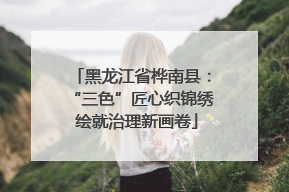 黑龙江省桦南县：“三色”匠心织锦绣 绘就治理新画卷