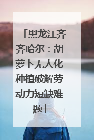 黑龙江齐齐哈尔：胡萝卜无人化种植破解劳动力短缺难题
