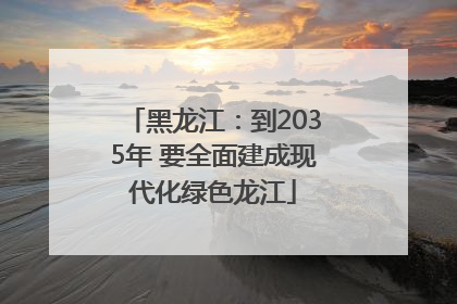 黑龙江：到2035年 要全面建成现代化绿色龙江