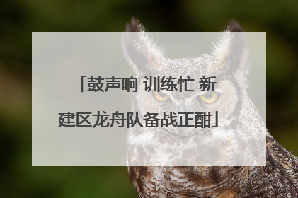 鼓声响 训练忙 新建区龙舟队备战正酣