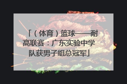 （体育）篮球——耐高联赛：广东实验中学队获男子组总冠军