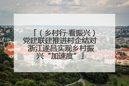 （乡村行·看振兴）党建联建推进村企结对 浙江遂昌实现乡村振兴“加速度”