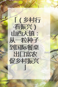 （乡村行·看振兴）山西天镇：从一粒种子到国际餐桌 出口富农促乡村振兴